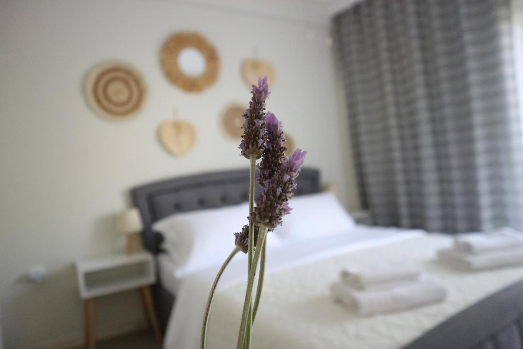 Grandma Mary'S Apartment Nea Playia Bagian luar foto